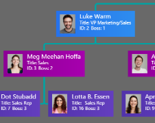 Org Chart